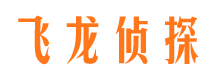 泉山调查公司